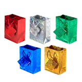 Gift Bag Holographic Small 11x13x6cm 5 Asstd