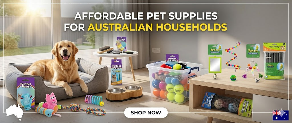 Essential Pet Supplies Every Australian Pet Owner Should Have