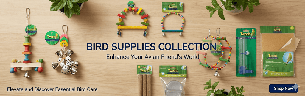 Bird supplies including cages food feeders and pet accessories Australia