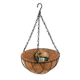 Hanging Basket w Liner 25cm PDQ