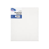 1pack Canvas Art 1Pc 17mm 10x12in W16.1 FSC MIX Credit