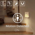 Motion Sensor Light