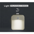 Motion Sensor Light