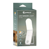 LED Motion Sensor Light