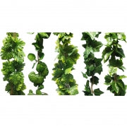 FOLIAGE - VINE 5set LEAVES 2.5M ASST