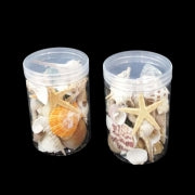 1pc VASE DECO - SEASHELLS ASST IN PLASTIC CONTIANER 8.5X12CM