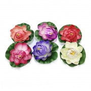 FLOWER - FLOATING LILY 10CM 6COLS