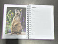 Meerkat's Guide to Life 2027 Diary