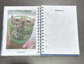 Cute Kittens 2027 Diary