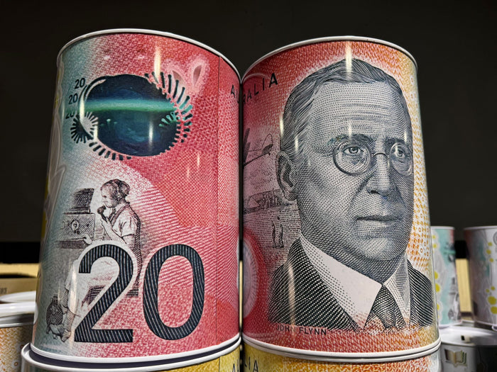 $20 JUMBO Dollar Note Money Tin Australian Box Jar Piggy Bank Coin OZ Variety