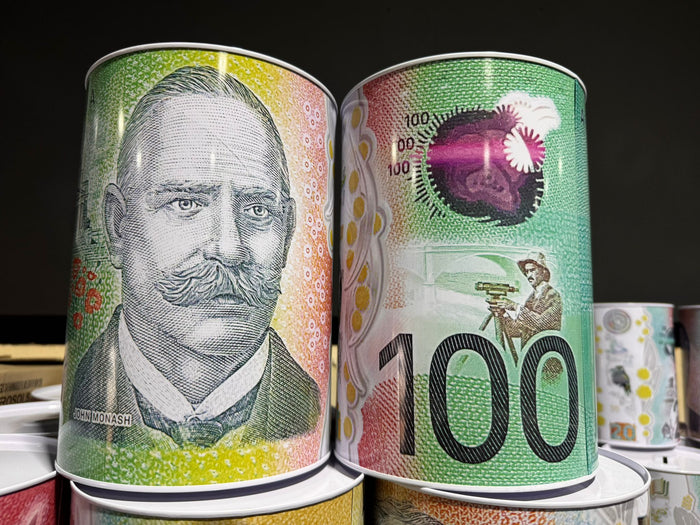 $100 JUMBO Dollar Note Money Tin Australian Box Jar Piggy Bank Coin OZ Variety