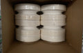 Oval Sugarcane Plates (260mm)