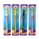 Collar Cat Sparkly Glitter 4 Asstd Cols 30x1cm