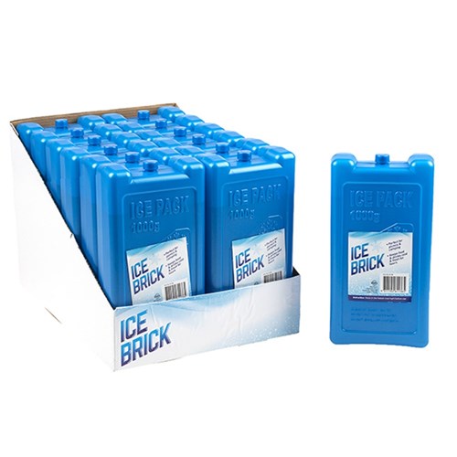 1pc Ice Brick 1000g